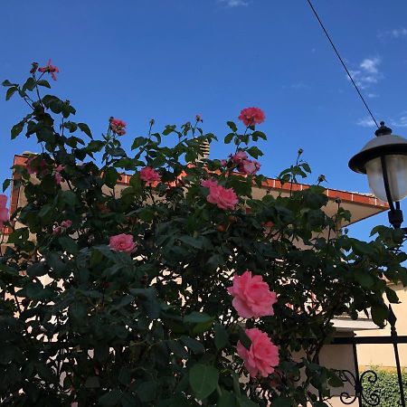 Hotel Zodiaco Bolsena Ngoại thất bức ảnh